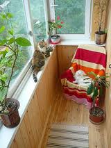 ������ ������