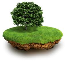 ��������� �������