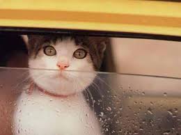 � ������ � ������